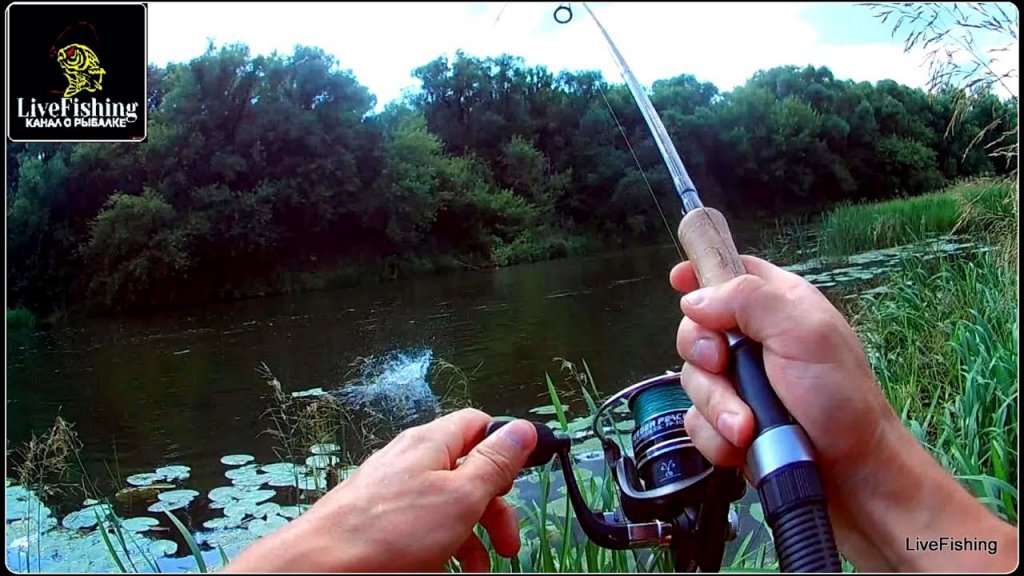 На реке со спиннингом. Июль. Река Красивая Меча. (LiveFishing).