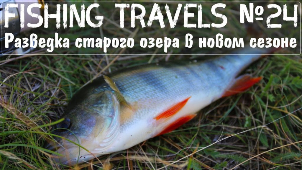 Fishing Travels №24 Разведка старого озера в новом сезоне