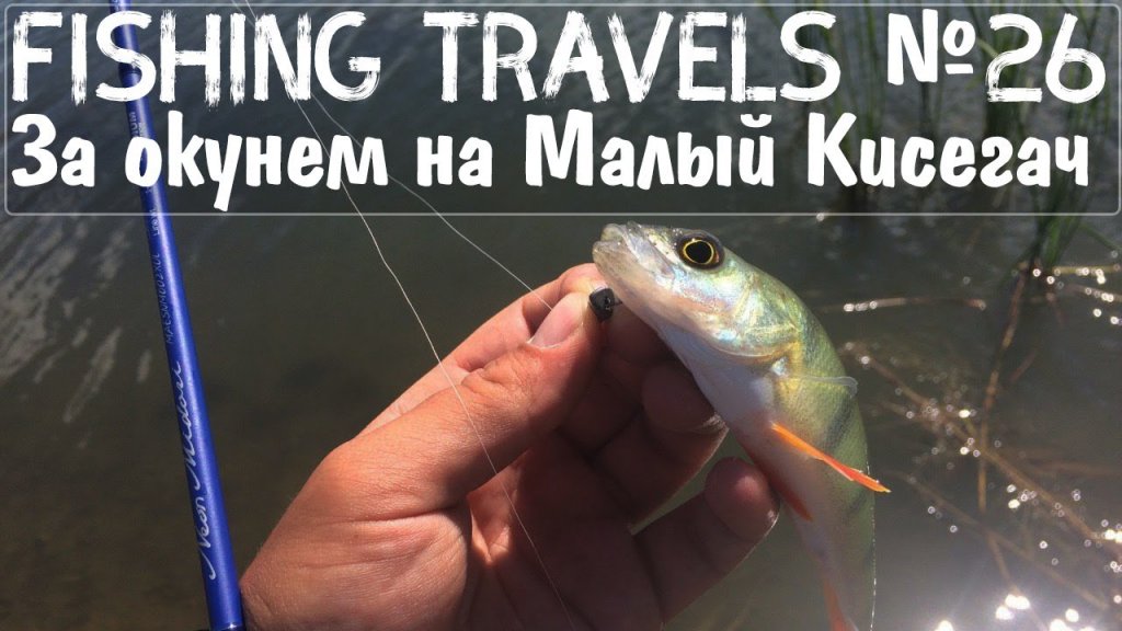 Fishing Travels №26 За окунем на Малый Кисегач