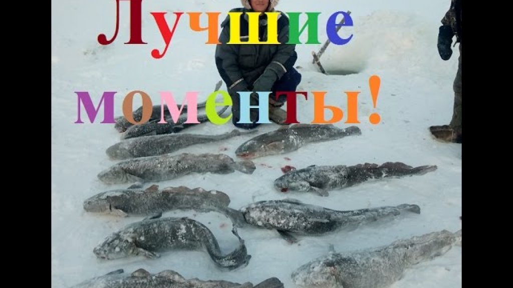 Fishing лучшие моменты с рыбалки Якутия Yakutia