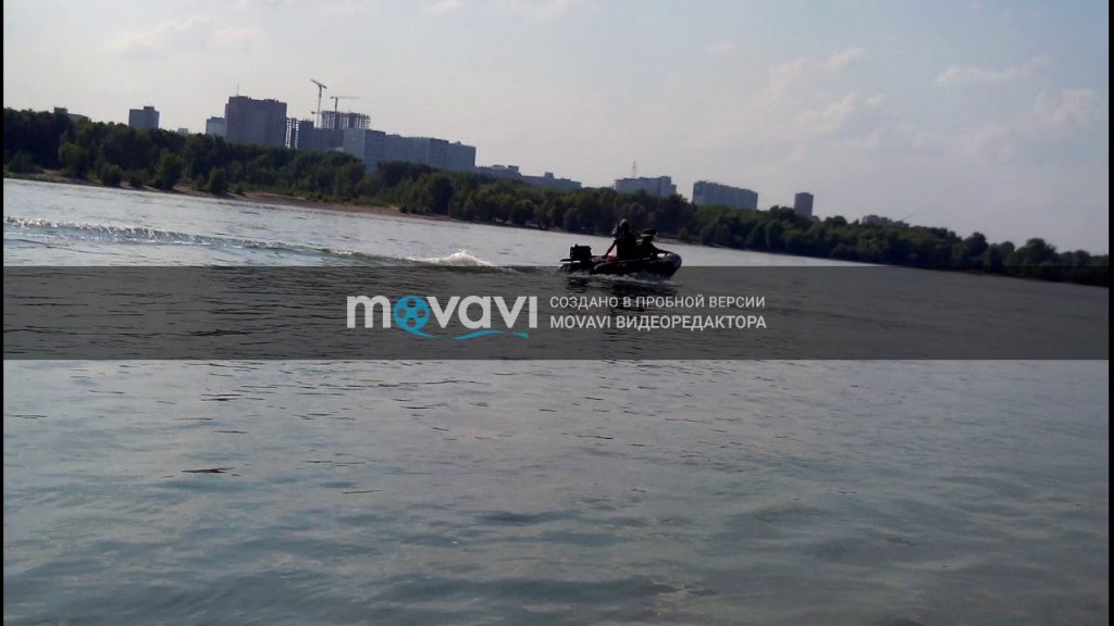 Мой Жужик))) Мой Жужик)))
