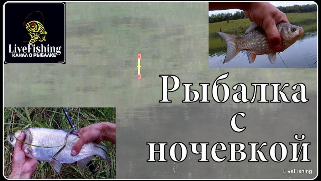 Рыбалка с ночевкой. Карась на поплавок. Толстолобик.(LiveFishing)