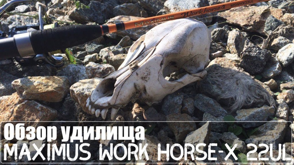 Обзор удилища Maximus Work Horse-X 22UL