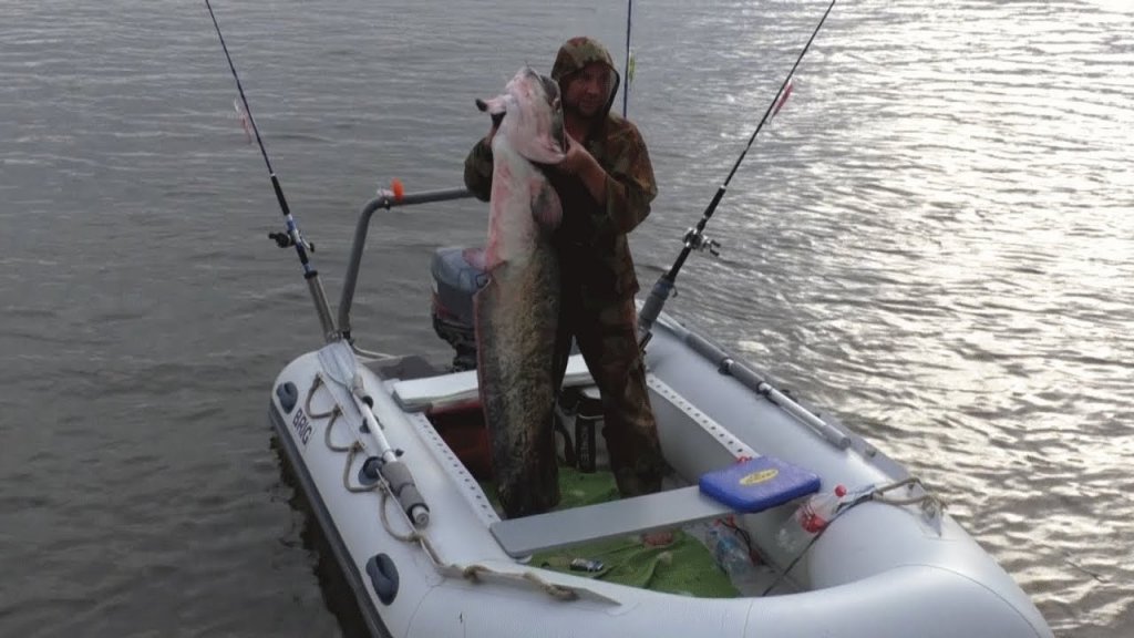 СОМ на 35 кг, ловля сома в Астраханской области, Харабалинский район, река Ахтуба рыбалка 2017