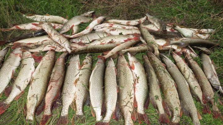 Внимание, внесены изменения в правила рыболовства для Западно-Сибирского рыбохозяйственного бассейна