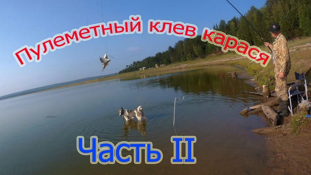 Пулеметный клев карася на маховую удочку 14 кг рыбы часть 2,