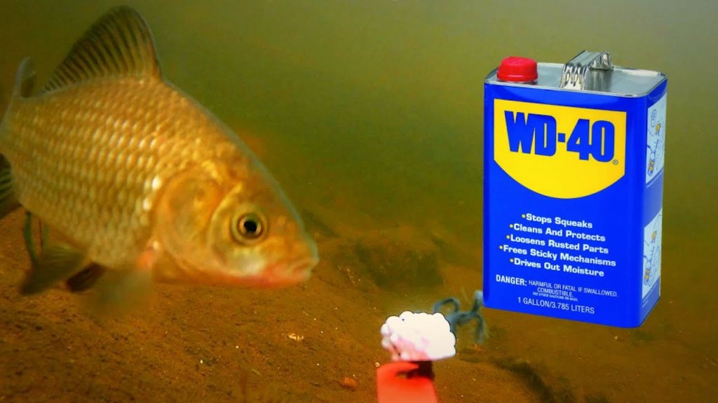 WD-40 на рыбалке! 100% РАЗВОД!!! Подводное видео