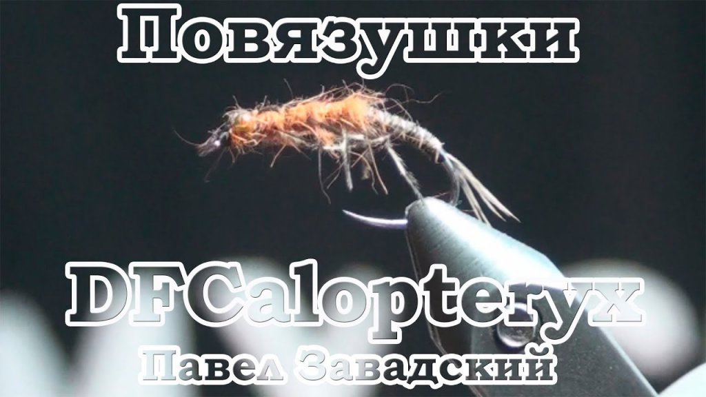 Повязушки. DFCalopteryx
