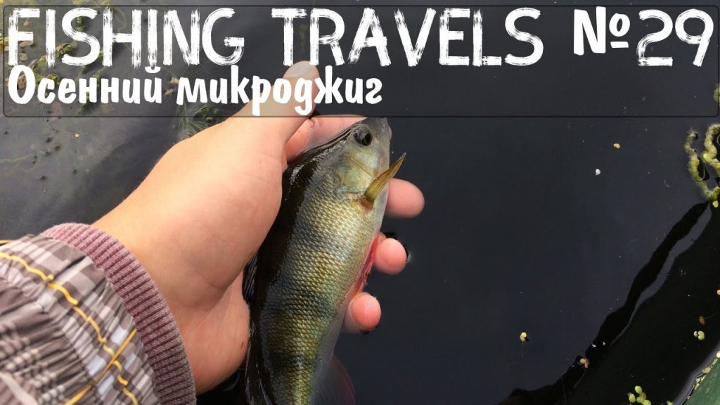 Fishing Travels №29 Осенний микроджиг