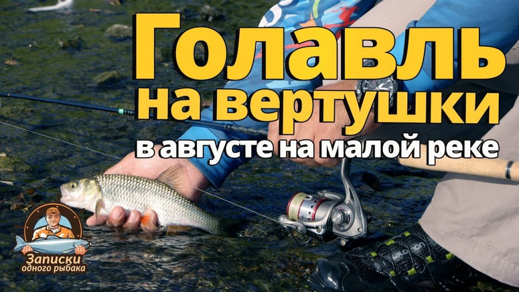 Голавль в августе на малой реке. Ловля на вертушки! Голавль в августе на малой реке. Ловля на вертушки!