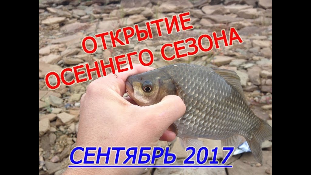 Первые осенние поклевки. Рыбалка сентябрь 2017