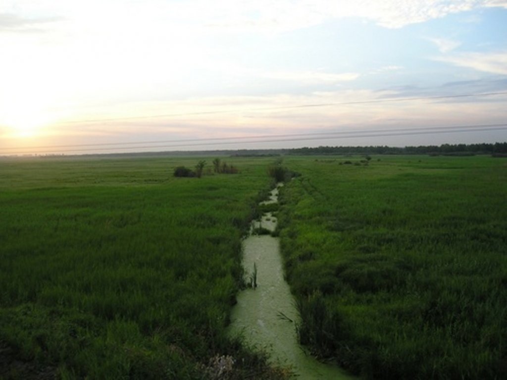 Власиха Барнаул Фото