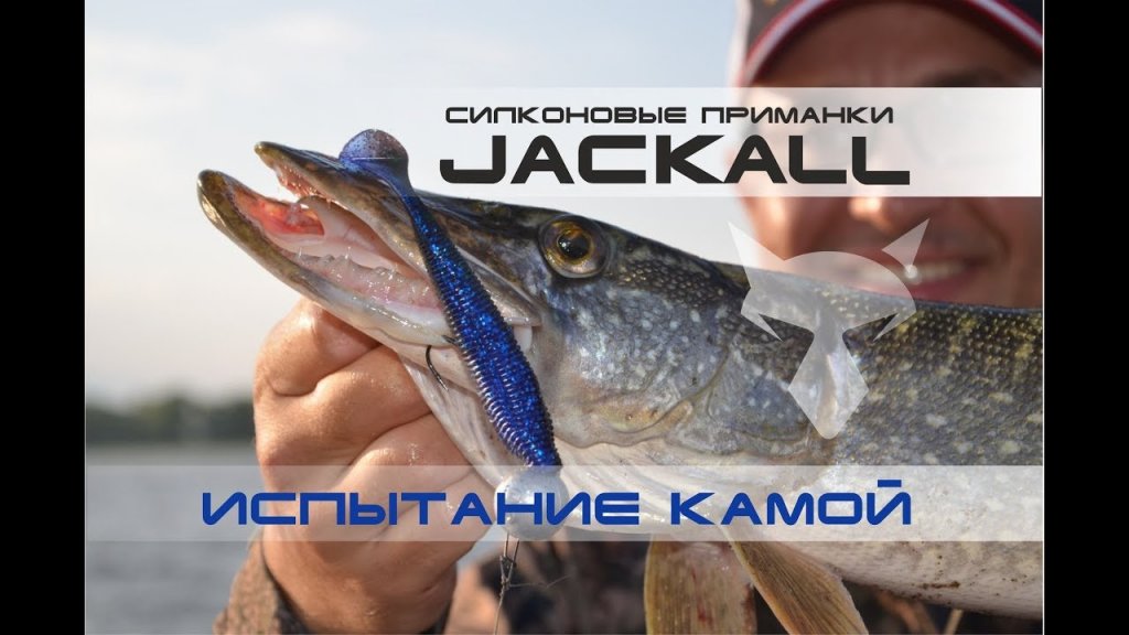 Силиконовые приманки Jackall. Испытание Камой