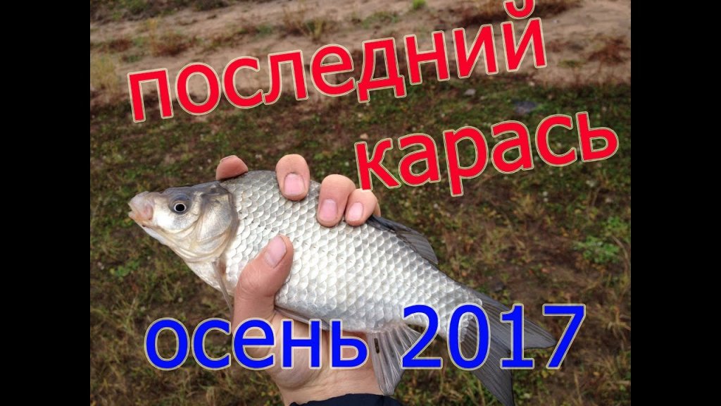 Рыбалка последний карась сентябрь 2017