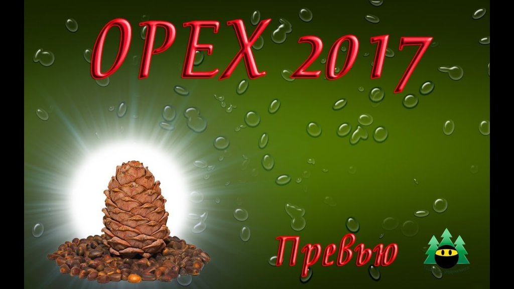 Орех 2017. Превью.