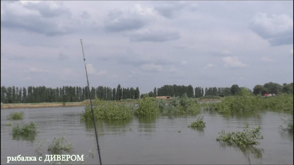 ПОТОП - река Ахтуба Харабали, рыбалка 2017, сколько было воды летом, мир рыбалки