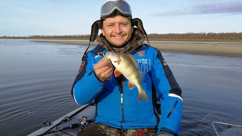 Виброхвост JACKALL I Shad Tail 2,8" (10 шт.) glow chartreuse shad - рабочая лошадка! Виброхвост JACKALL I Shad Tail 2,8" (10 шт.) glow chartreuse shad - рабочая лошадка!