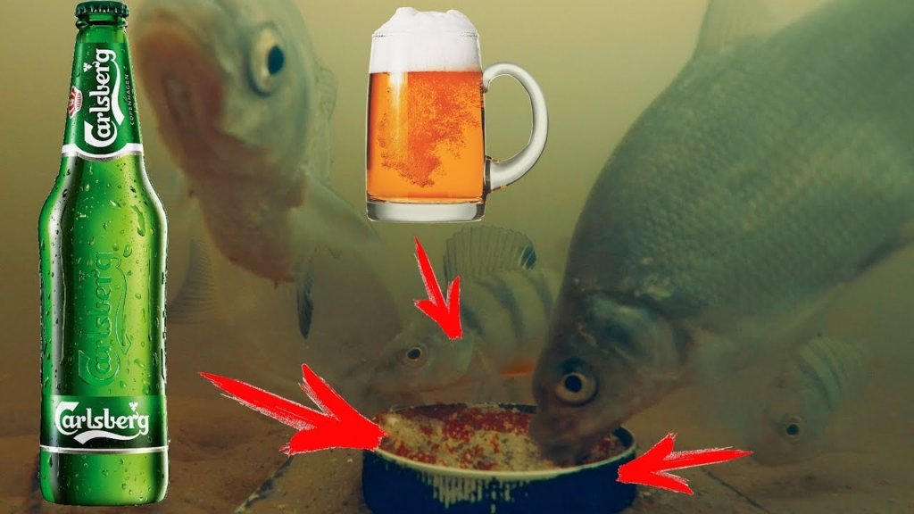 Реакция рыбы на Пиво!!! Подводная съемка