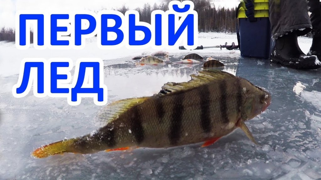 Перволедье в Сибири. Залив Тарево. Братское водохранилище.