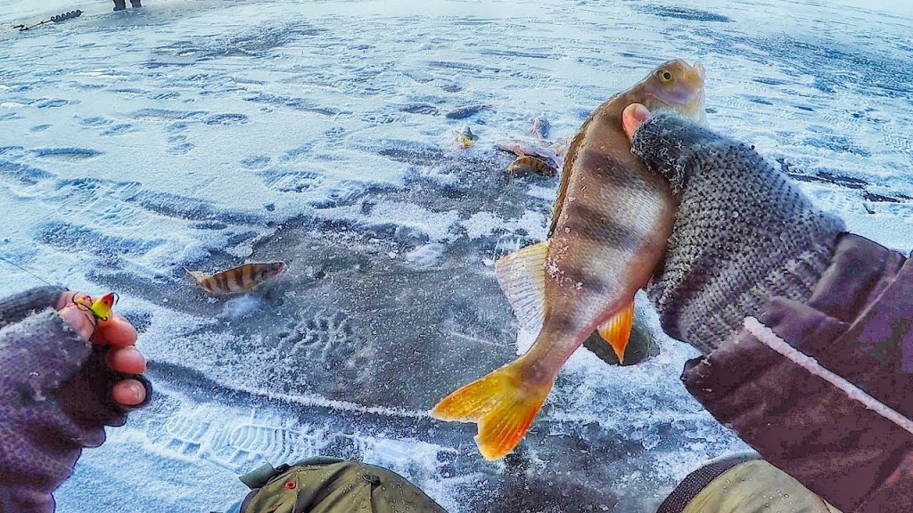 Фартовая лунка или уловистый балансир? Зимняя рыбалка 2017 ЛОВЛЯ ОКУНЯ ЗИМОЙ