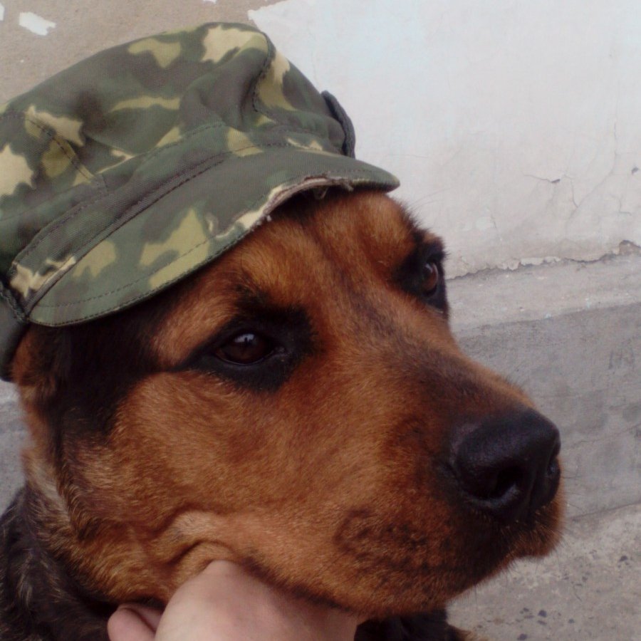 Роман123