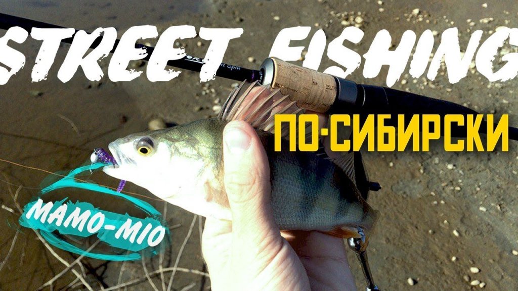 Street fishing по-сибирски, или как Tori помогла окуней наловить