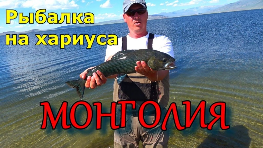 Монгольский хариус/Рыбалка в Монголии/Как наловить хариуса/