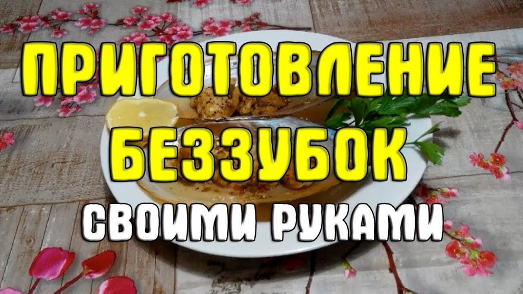 Приготовление беззубок (перловиц). Как приготовить перловицу (беззубку). Готовим речных мидий Приготовление беззубок (перловиц). Как приготовить перловицу (беззубку). Готовим речных мидий