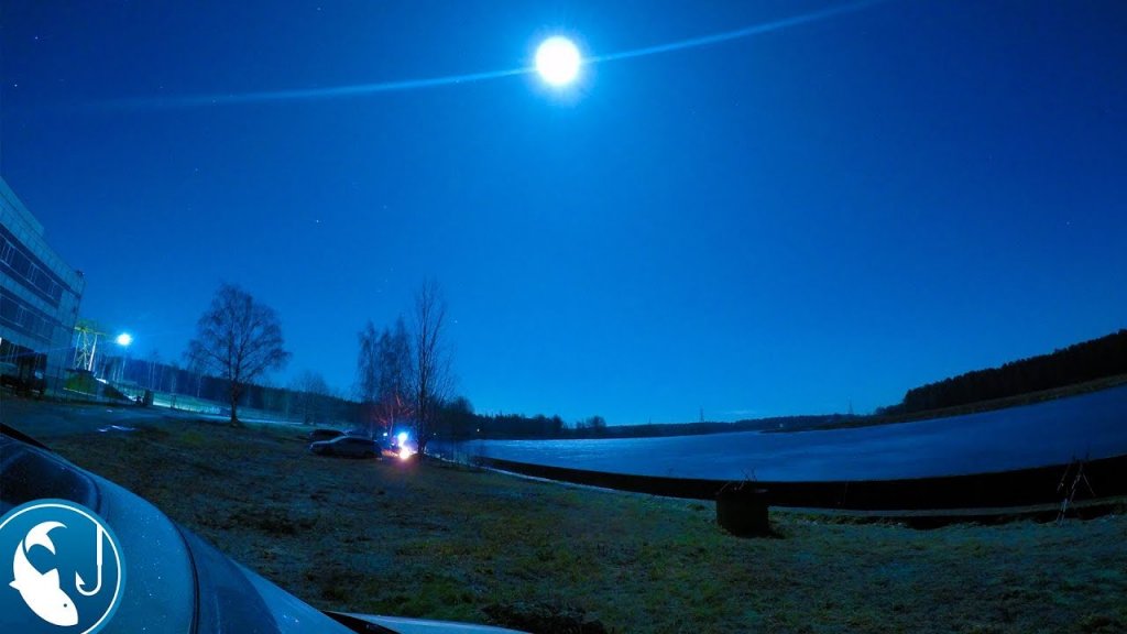 В погоне за налимом. Ловля налима ночью на реке Лиелупе. | Рыбалка с Родионом