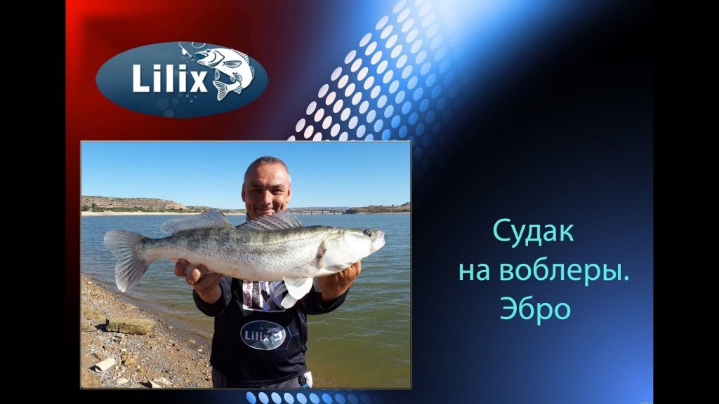 Судак на воблеры. Эбро. (Рыбалка в Испании) Судак на воблеры. Эбро. (Рыбалка в Испании)