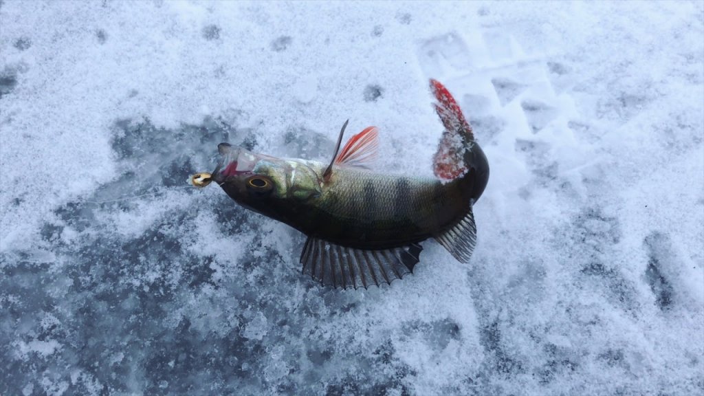 Первая зимняя рыбалка на льду 2018. Открытие сезона. Ловля на мормышку.