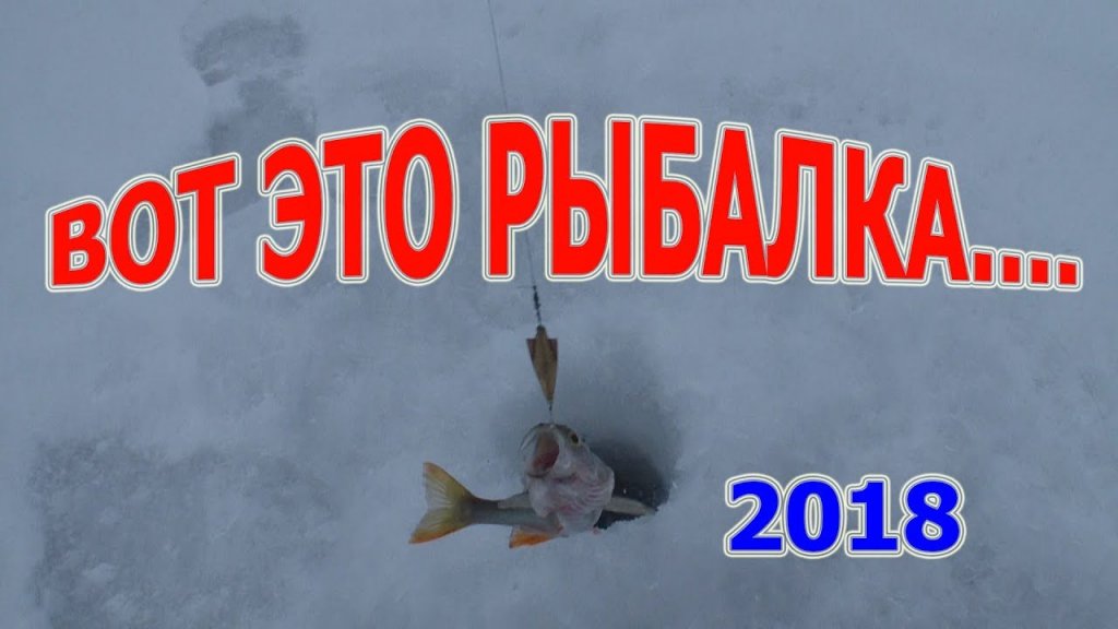 Вот это рыбалка, Вот это раздача окуня на Песчанке, январь 2018  Рыбалка 2018