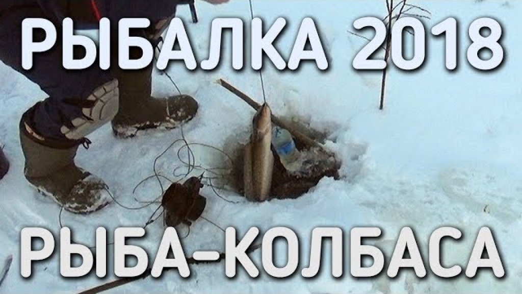 Рыбалка 2018 / рыба колбаса / братья приходько
