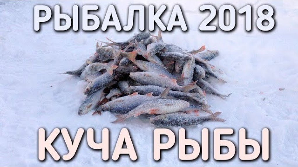 Куча рыбы в глухозимье / рыбалка 2018 / братья приходько
