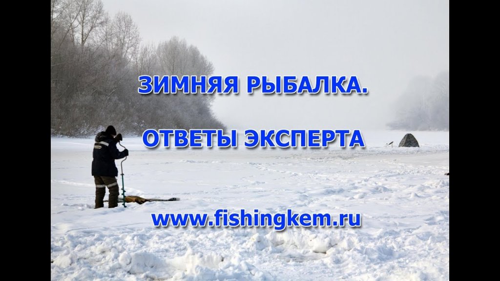 Зимняя рыбалка. Ответы ихтиолога.