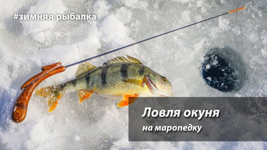 рыбалка на окуня и зимой видео