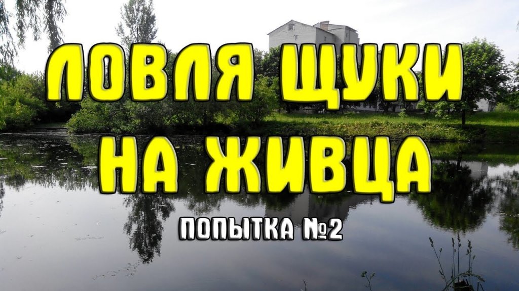 Ловля щуки на живца поплавочной удочкой дальнего заброса. Второй выход Ловля щуки на живца поплавочной удочкой дальнего заброса. Второй выход