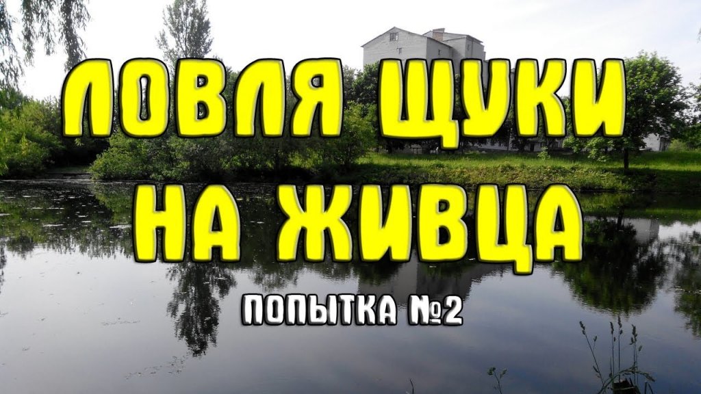 Ловля щуки на живца поплавочной удочкой дальнего заброса. Второй выход