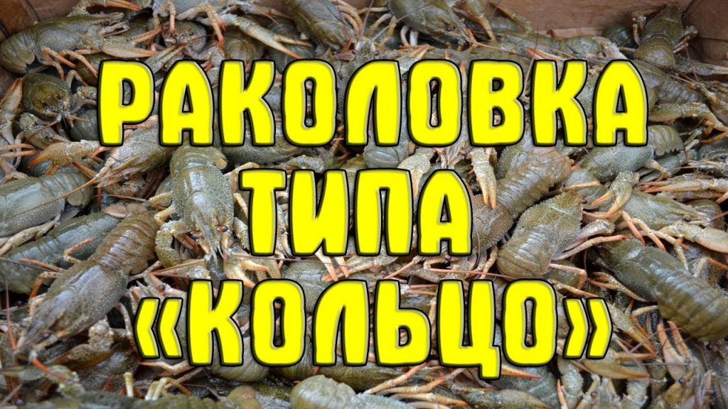 Простая раколовка типа "Кольцо" своими руками.Как сделать простую раколовку своими руками Простая раколовка типа "Кольцо" своими руками.Как сделать простую раколовку своими руками