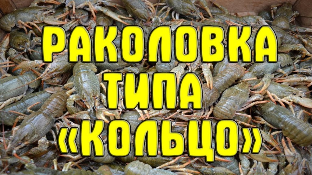 Простая раколовка типа "Кольцо" своими руками.Как сделать простую раколовку своими руками