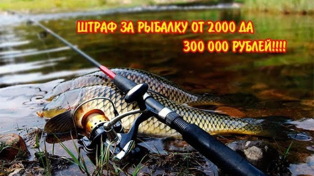 Закон о рыбалке 2018 ШТРАФ 300 000 РУБЛЕЙ!