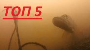 Топ 5 АТАКА ЩУКИ НА ЖИВЦА!!! Подводная съемка Топ 5 АТАКА ЩУКИ НА ЖИВЦА!!! Подводная съемка