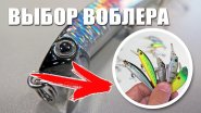 Воблер для ловли с берега по высокой воде. Советы по выбору Воблер для ловли с берега по высокой воде. Советы по выбору