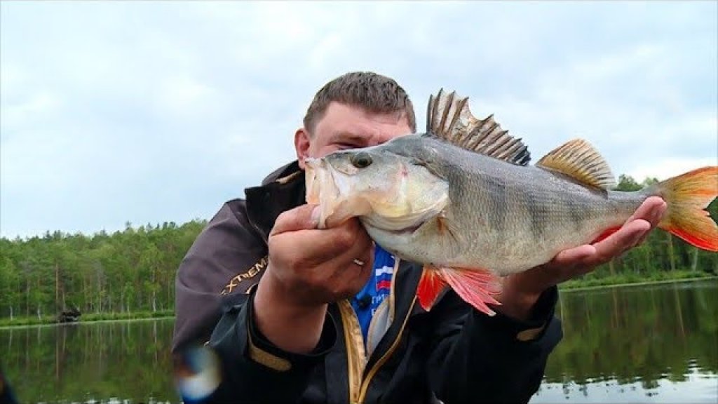 Рыбалка на вращающуюся блесну крупной щуки и окуня кабана / Простая рыбалка на реке с AikoLand TV.