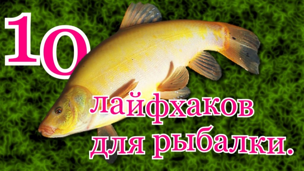 ТОП-10 полезных лайфхаков для рыбалки ТОП-10 полезных лайфхаков для рыбалки