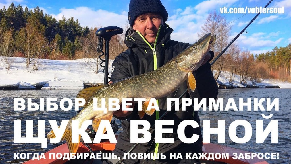 Ловля щуки весной на спиннинг с лодки. Выбор цвета приманки