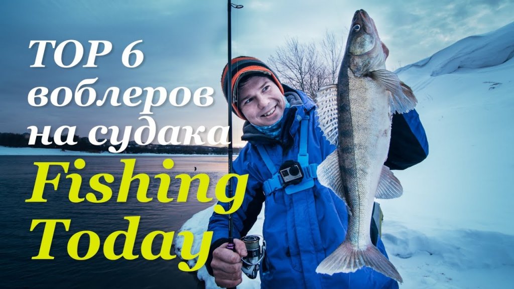 ТОП-6 воблеров-убийц на весеннего судака. Обзор и рыбалка! ТОП-6 воблеров-убийц на весеннего судака. Обзор и рыбалка!