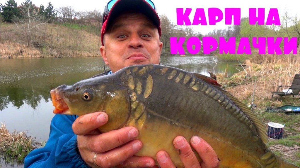 Ловля карпа весной на убийцу карася! Рыбалка на кормачки. Ловля карпа весной на убийцу карася! Рыбалка на кормачки.