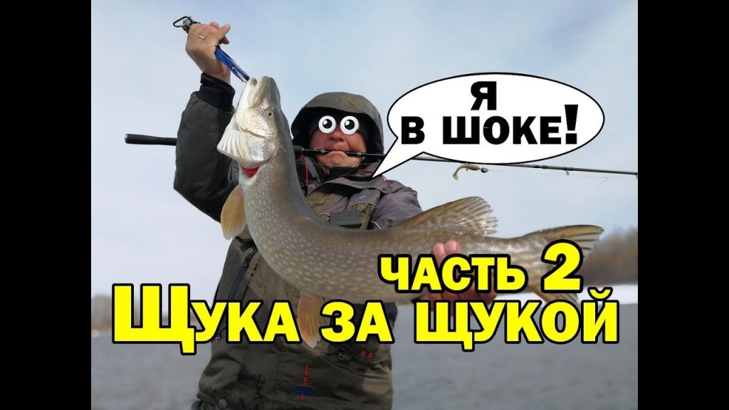 Да сколько же здесь щуки? Щука весной ловля на джиг #2. Простая рыбалка в марте на реке Aikoland TV