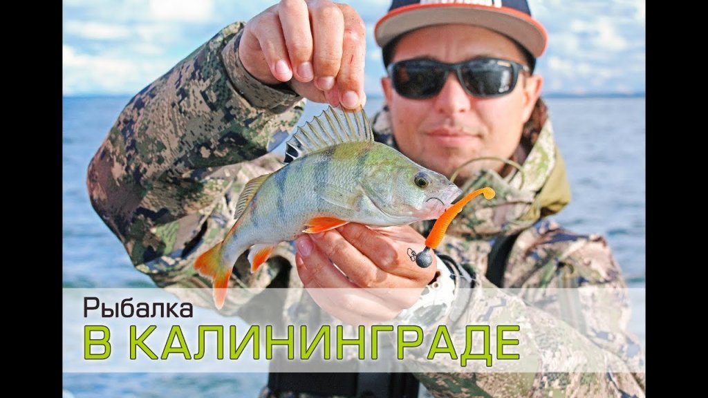 Рыбалка в Калининграде. Ловля окуня и судака на джиг